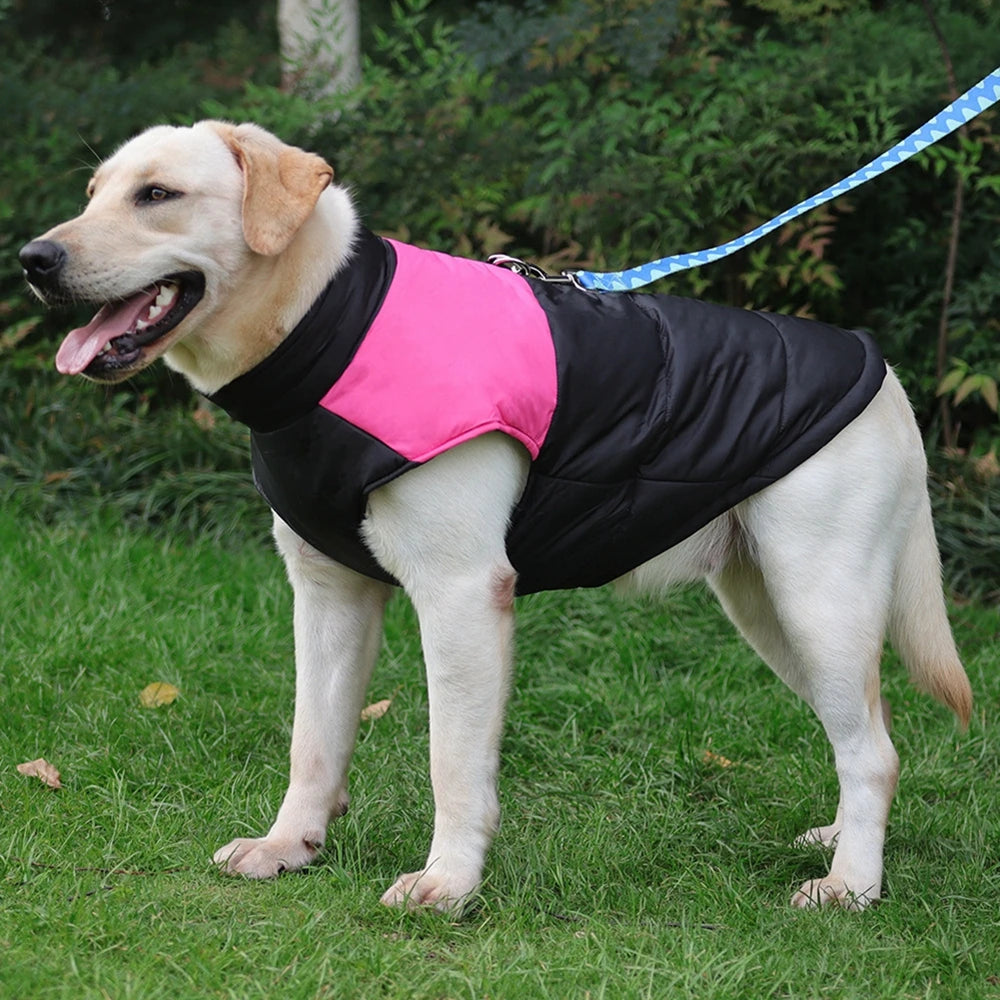 Hermosos Chalecos de Abrigo de Temporada 2024 para mascotas - Outfits