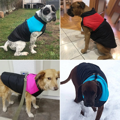 Hermosos Chalecos de Abrigo de Temporada 2024 para mascotas - Outfits